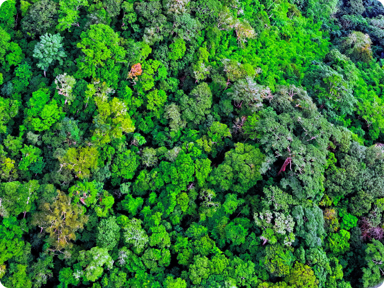 A sustainable living environment.