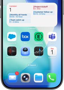 Beginscherm van iPhone met verschillende zakelijke en productiviteitsapps, met een gedetailleerd werkschema in Apple Agenda